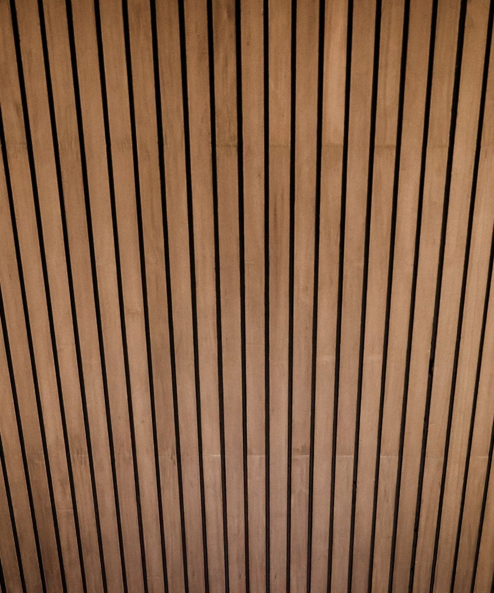 ceiling service